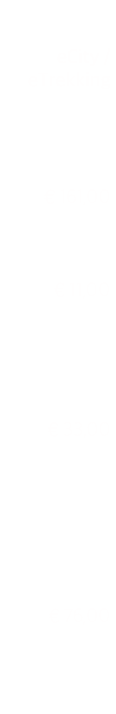   eCity / eTrekking     € 161,00    € 12,00      € 34,00        € 78,00   