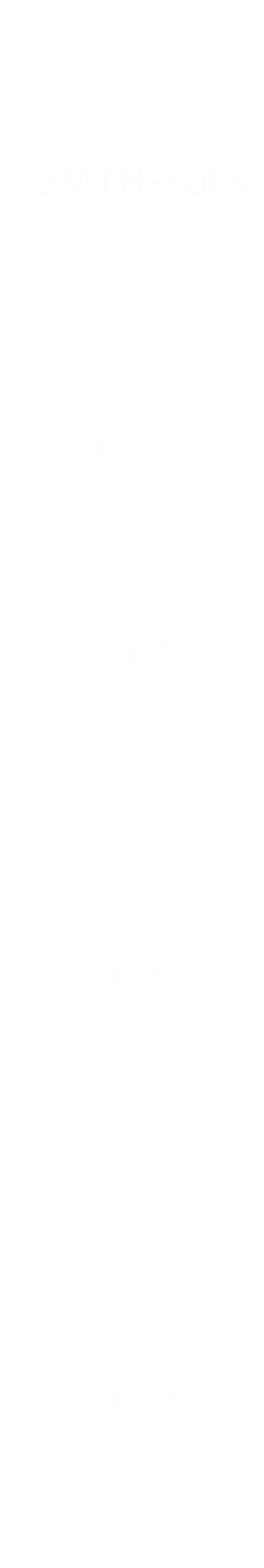    eMTB-Fully     € 172,00    € 12,00      € 34,00        € 78,00  